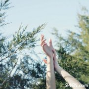 һ�����ջ� (��������)