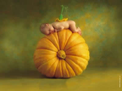 ��һ�⣬���Ƿ�